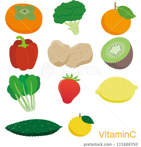 含有維生素 C 的食物插圖集 115888350