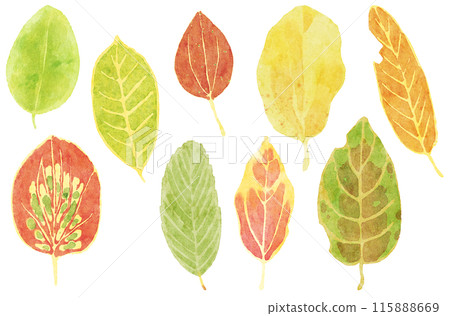 一組有趣圖案的落葉,水彩風格 一組有趣圖案的落葉,水彩風格 115888669