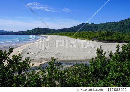 Oginohama Beach (Tosashimizu City, Kochi Prefecture) Oginohama Beach (Tosashimizu City, Kochi Prefecture) 115888951