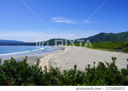 Oginohama Beach (Tosashimizu City, Kochi Prefecture) 115888952