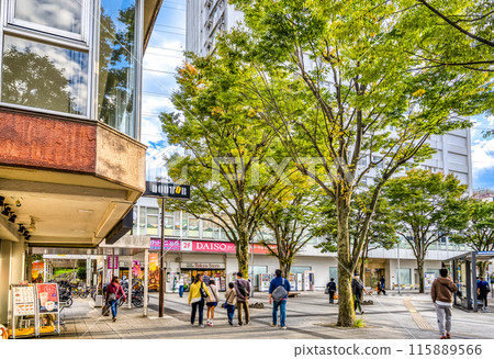 神奈川縣橫濱市的都市景觀橫台站 神奈川縣橫濱市的都市景觀橫台站 115889566