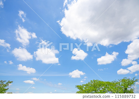 Clouds and trees in early summer Clouds and trees in early summer 115889732