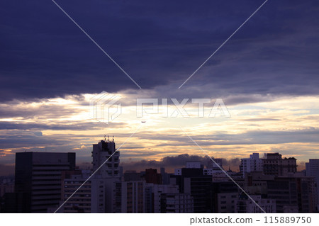 巴西聖保羅市和建築物的夜景 115889750