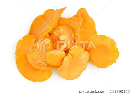 Chanterelle mushroom isolated on a white background. Top view. Flat lay 115890363