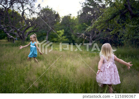 little sisters in dresses playing together in the tall grass little sisters in dresses playing together in the tall grass 115890367