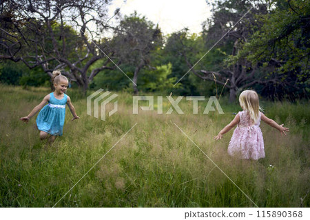 little sisters in dresses playing together in the tall grass 115890368