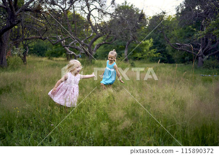 little sisters in dresses playing together in the tall grass little sisters in dresses playing together in the tall grass 115890372