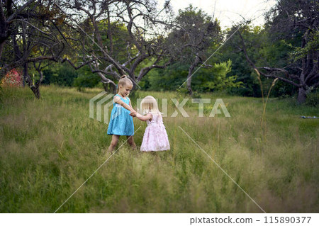 little sisters in dresses playing together in the tall grass 115890377