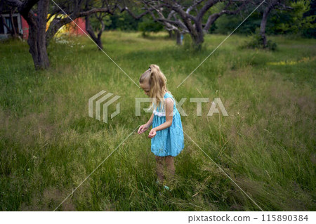 a little girl holds out a bouquet of field herbs a little girl holds out a bouquet of field herbs 115890384