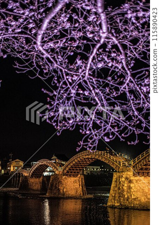 Yamaguchi·Iwakuni·Kintai Bridge Yamaguchi·Iwakuni·Kintai Bridge 115890423