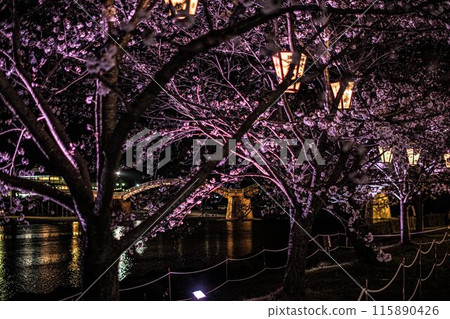 Yamaguchi·Iwakuni·Kintai Bridge Yamaguchi·Iwakuni·Kintai Bridge 115890426