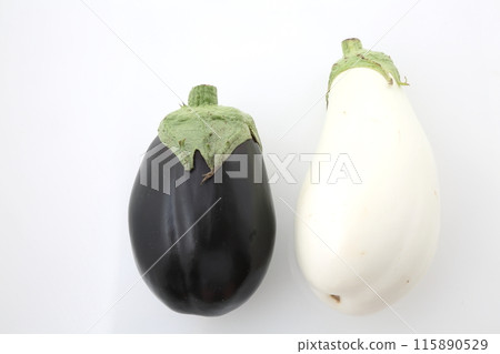 American eggplant and white eggplant American eggplant and white eggplant 115890529