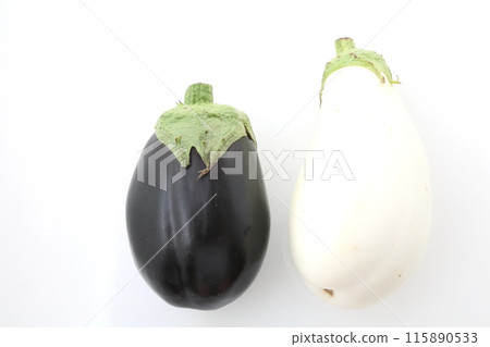 American eggplant and white eggplant 115890533