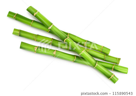 Green bamboo isolated on white background. Top view. Flat lay 115890543