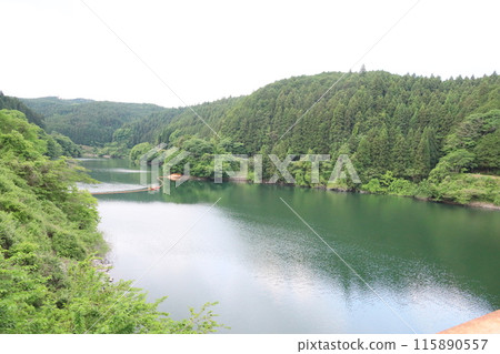 The dam visible in the depths of the greenery The dam visible in the depths of the greenery 115890557