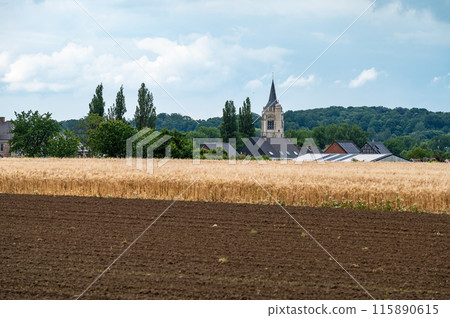 The village of Zemst, brown soil and golden agriculture fields around Ternat, Belgium The village of Zemst, brown soil and golden agriculture fields around Ternat, Belgium 115890615