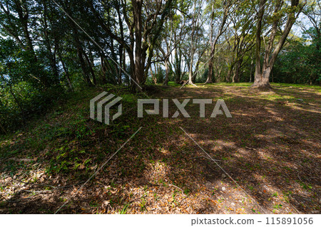 【重要傳統建築群保存地區】高知縣安藝市安藝城第一步道伊倉中學 115891056