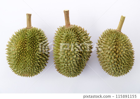 Ripe durian, both pods and stalks, on isolated white background 115891155