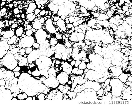 Black and White Marble Stone Vector Texture 115891575