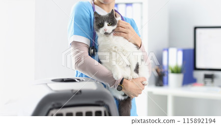 Veterinarian is holding cat in his office Veterinarian is holding cat in his office 115892194