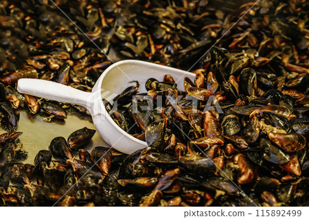 Fresh Mussels in White Scoop at Market 115892499
