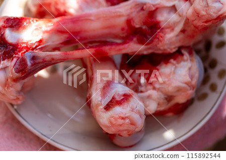 Raw Meat Dog Food - Knockout 115892544