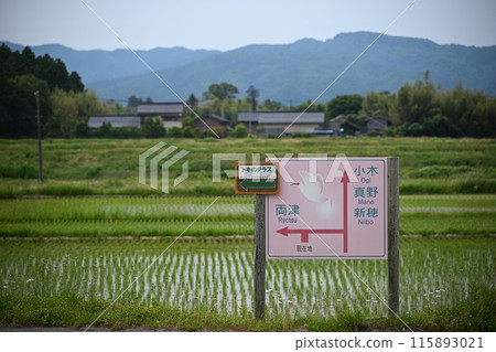 佐渡島田園風光 佐渡島田園風光 115893021