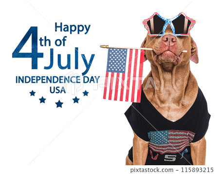Happy Independence Day. American Flag and cute dog Happy Independence Day. American Flag and cute dog 115893215
