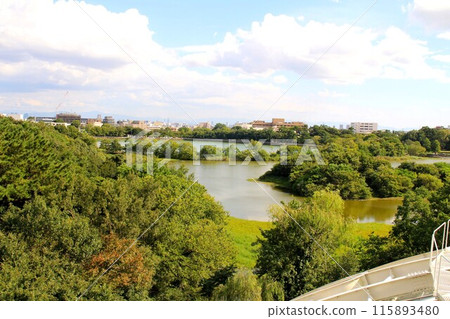 Ko yo池塘 115893480