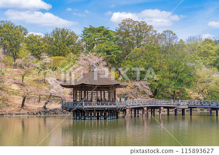 [櫻花]春天奈良公園浮禦堂 115893627
