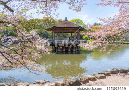 [櫻花]春天奈良公園浮禦堂 115893639