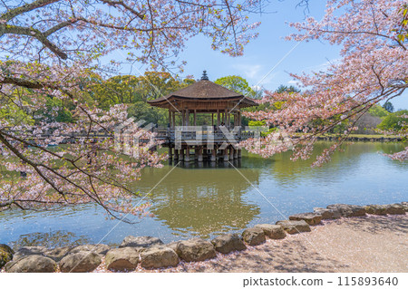 [Cherry Blossoms] Ukimido Hall in Nara Park in Spring 115893640