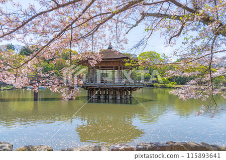 [Cherry Blossoms] Ukimido Hall in Nara Park in Spring 115893641