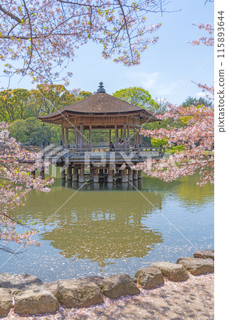 [櫻花]春天奈良公園浮禦堂 115893644