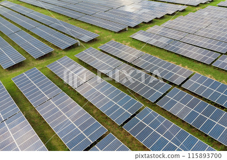 Aerial view of solar panels of a power plant. Energy of sun Aerial view of solar panels of a power plant. Energy of sun 115893700