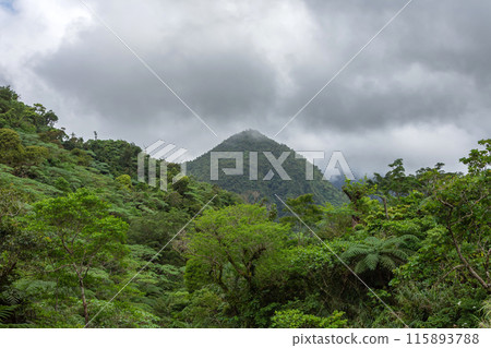 a lot of clouds over the mountain and jungle a lot of clouds over the mountain and jungle 115893788