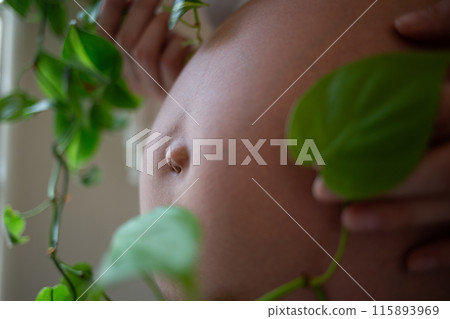 A beautiful pregnant belly surrounded by green leaves, symbolizing new life and growth A beautiful pregnant belly surrounded by green leaves, symbolizing new life and growth 115893969