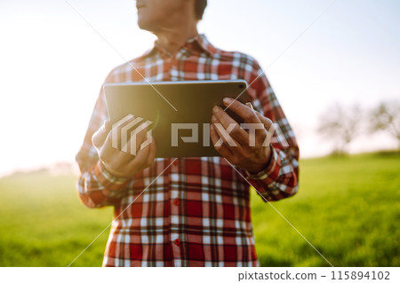 Farmer working with digital tablet in field at sunset. Checking wheat field. Agriculture concept. 115894102