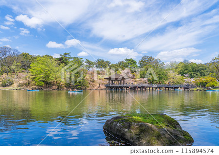 [櫻花]春天的奈良公園、鷺池、浮禦堂 115894574