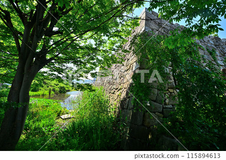 Stone walls and moat of the main citadel of Yodo Castle in Yamashiro Province Stone walls and moat of the main citadel of Yodo Castle in Yamashiro Province 115894613