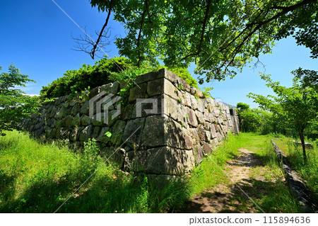 山城省淀城主圍的石牆和護城河 山城省淀城主圍的石牆和護城河 115894636