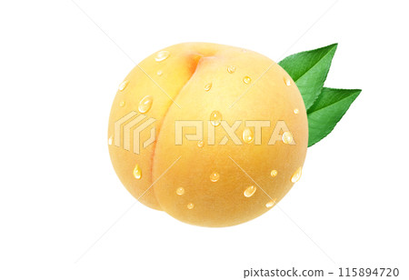 金桃插畫現實白色背景 115894720