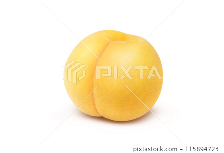 Golden peach illustration, realistic, white background Golden peach illustration, realistic, white background 115894723
