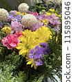 七彩花朵 115895046