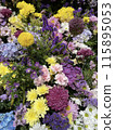 七彩花朵 115895053
