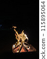 燃燒的火焰 115895064