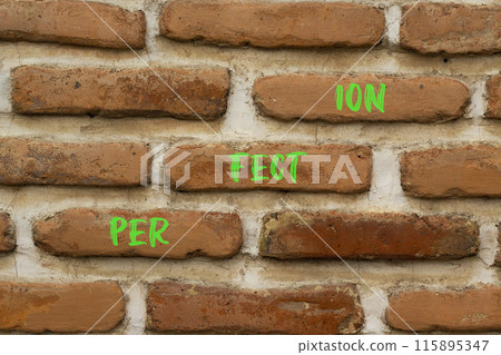 Perfection symbol. Concept word Perfection on beautiful brown bricks. Beautiful brown brick wall background. Business perfection concept. Copy space. Perfection symbol. Concept word Perfection on beautiful brown bricks. Beautiful brown brick wall background. Business perfection concept. Copy space. 115895347