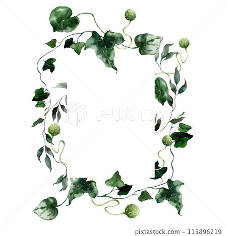 Watercolor floral vertical frame featuring bedstraw, grass and herbs. Hand-drawn card of a plant bouquet on a white background. An outdoor illustration for design, printing or fabric background. Watercolor floral vertical frame featuring bedstraw, grass and herbs. Hand-drawn card of a plant bouquet on a white background. An outdoor illustration for design, printing or fabric background. 115896219