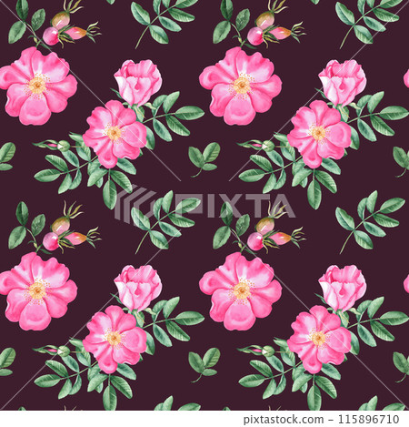 Dog rose Floral Watercolor seamless pattern on dark burgundy background. Hand drawn botanical illustration. Rose hip flowers, buds, branches and berries. Can be used for fabric, textile, packaging Dog rose Floral Watercolor seamless pattern on dark burgundy background. Hand drawn botanical illustration. Rose hip flowers, buds, branches and berries. Can be used for fabric, textile, packaging 115896710