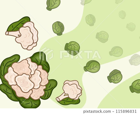 Green banner horizontal vector with cauliflower and brussels sprouts. Background for harvest organic Green banner horizontal vector with cauliflower and brussels sprouts. Background for harvest organic 115896831